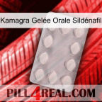 Kamagra Gelée Orale Sildénafil 16